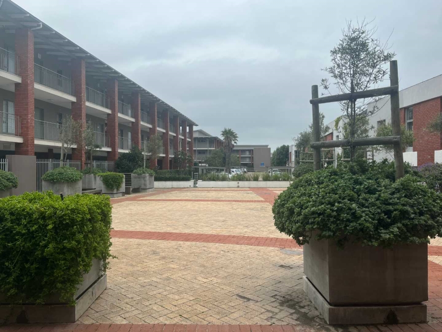 To Let commercial Property for Rent in Century City Western Cape